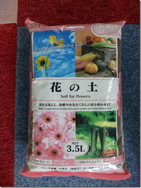 100円ショップダイソーで買った物だけで、猫草を栽培して愛猫に与えてみた。【動画あり】 | KUMA TYPE